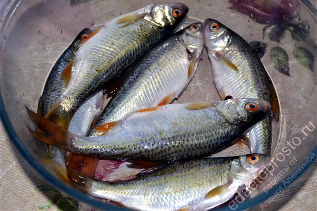 подборка фото рыбы и рыбных блюд