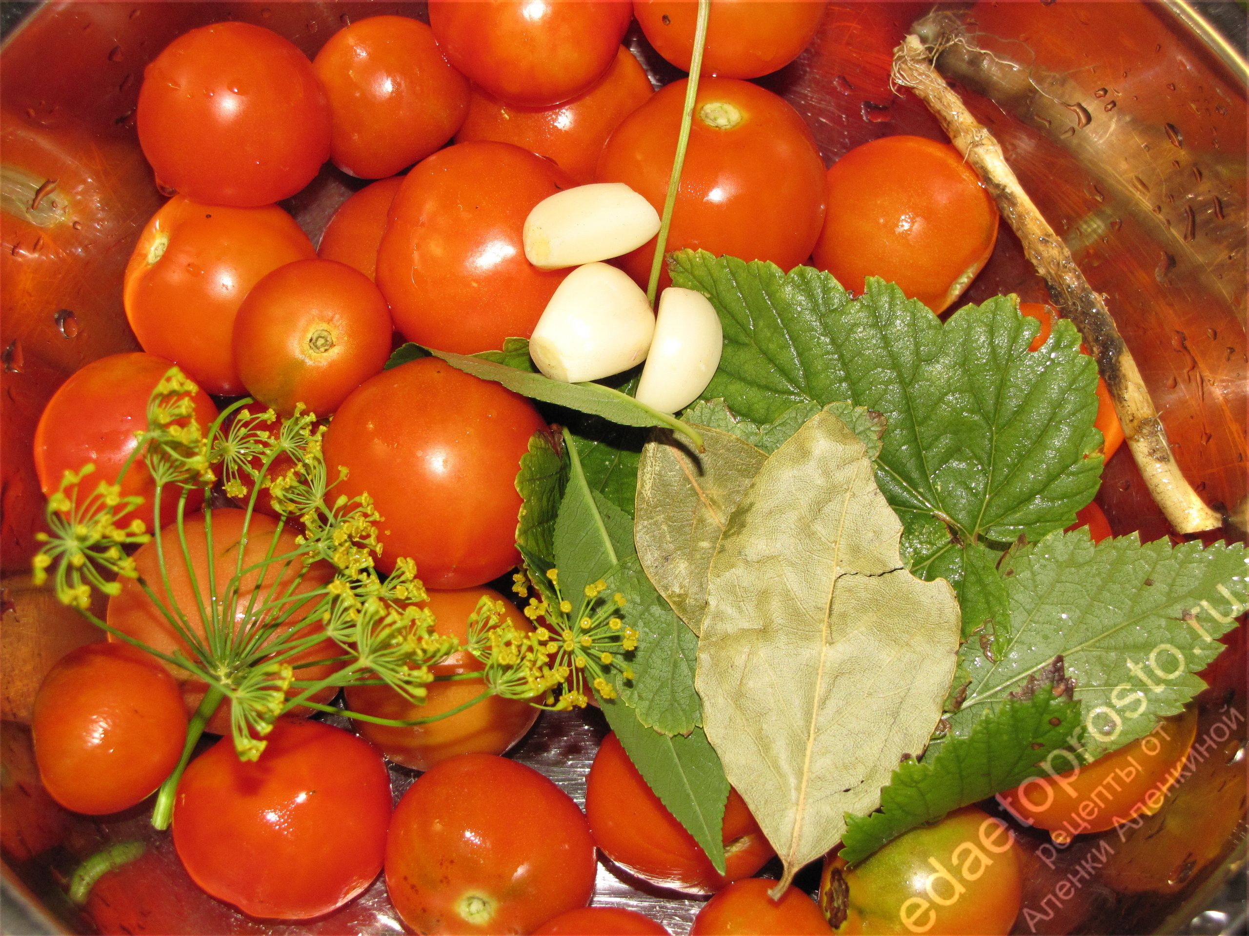 фото набора овощей и специй для маринованных помидоров на зиму