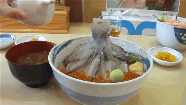 гиф свежее суши с живым осьминогом