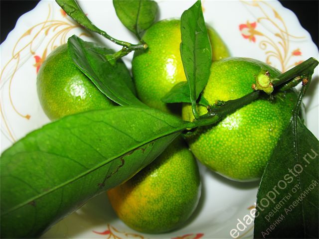веточка зеленых мандаринов на тарелке