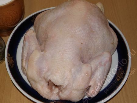 фото курицы для запекания в духовке целиком
