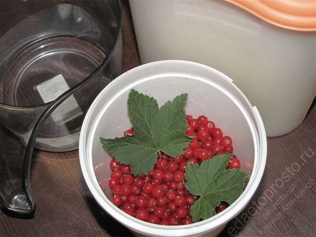 фото ингредиентов для приготовления джема из красной смородины