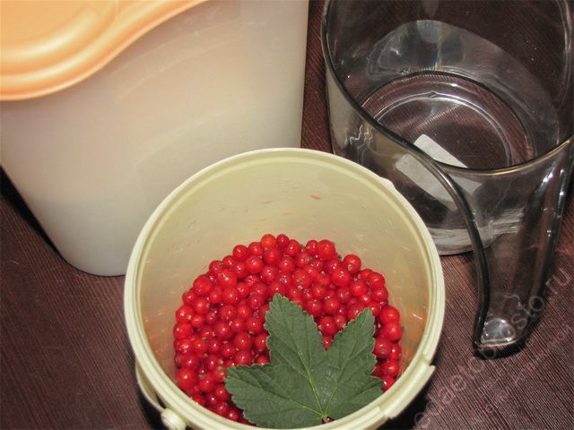 фото ингредиентов для приготовления варенья из красной смородины