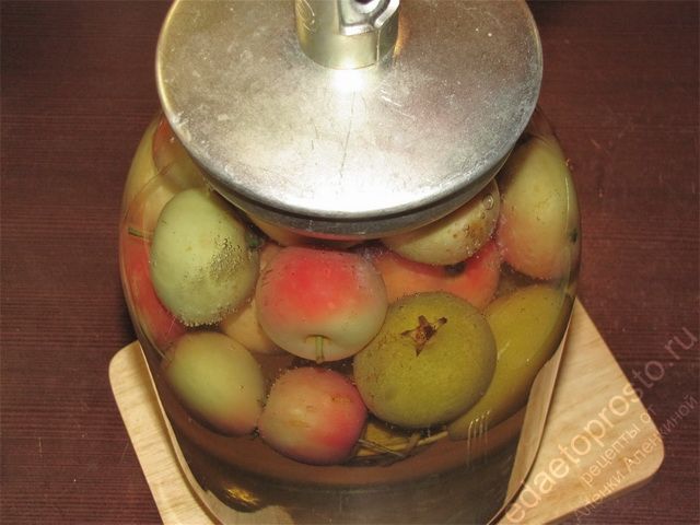 Закатать банку закаточной машинкой, фото приготовления компота из груш и яблок