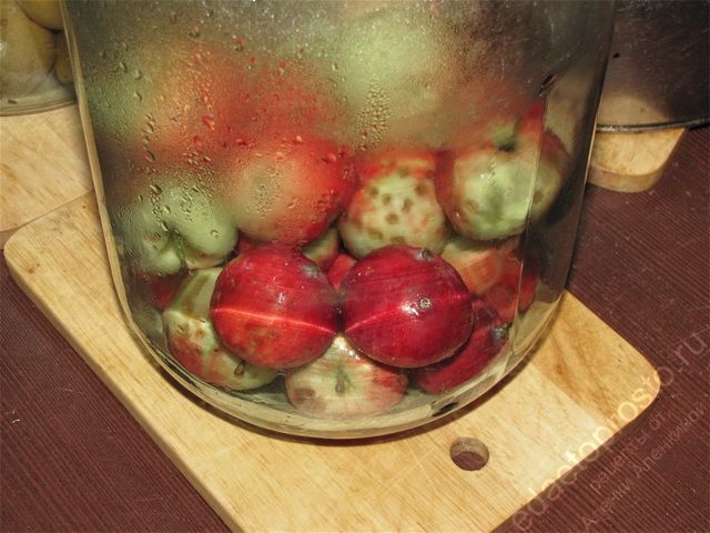 Выложить подготовленные яблоки в горячую банку