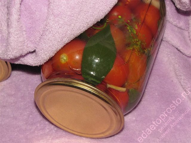 Маринованные помидоры черри. Фото горячей банки накрытой теплым одеялом