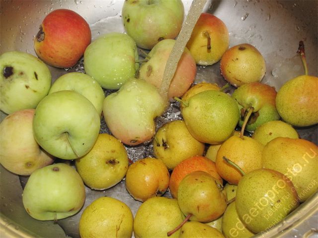 Промыть яблоки и груши под проточной водой
