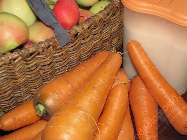 фото ингредиентов для приготовления яблочно-морковного сока