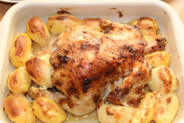 Курица с картошкой в духовке фото
