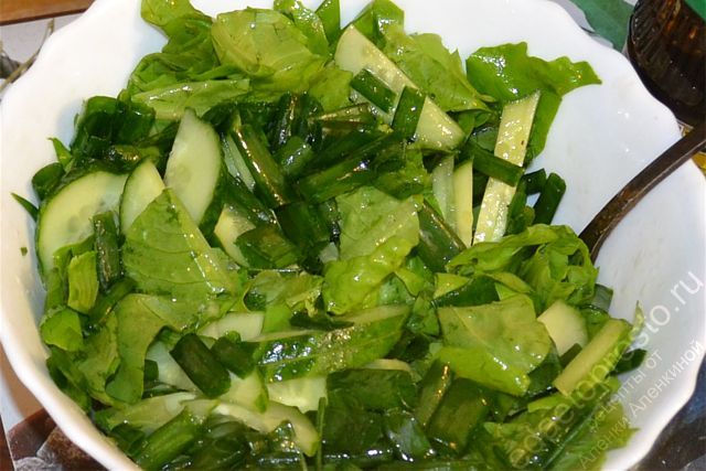 первые огурчики, салат и зелень, фото ингредиентов для летнего салата к ужину
