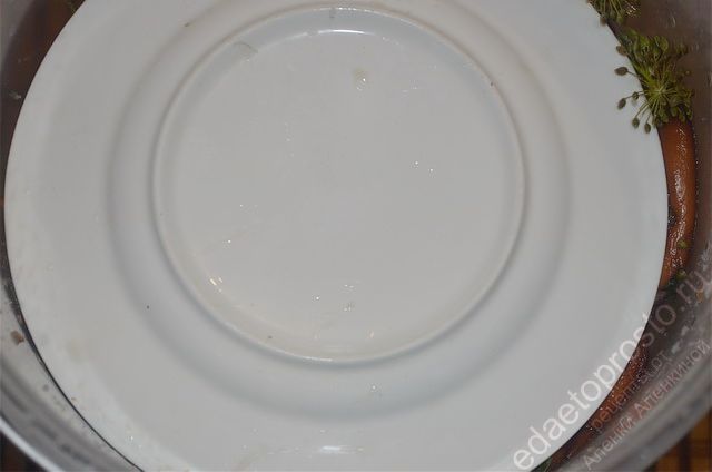 грибы накрыть тарелкой и поставить гнет
