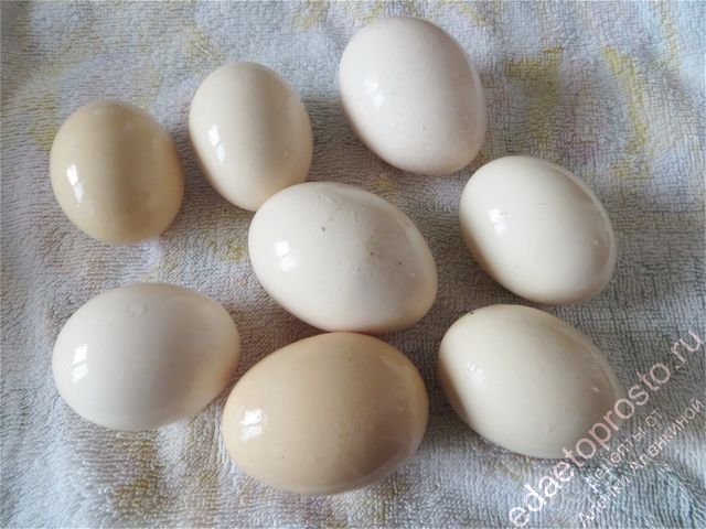 Сушим яйца на кухонном полотенце,  фото