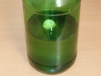 фото полезной настойки чеснока в зеленой бутылке