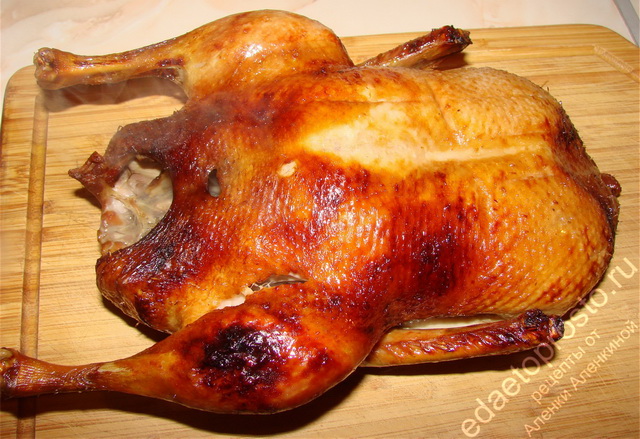 подборка фото вкусных блюд из курицы