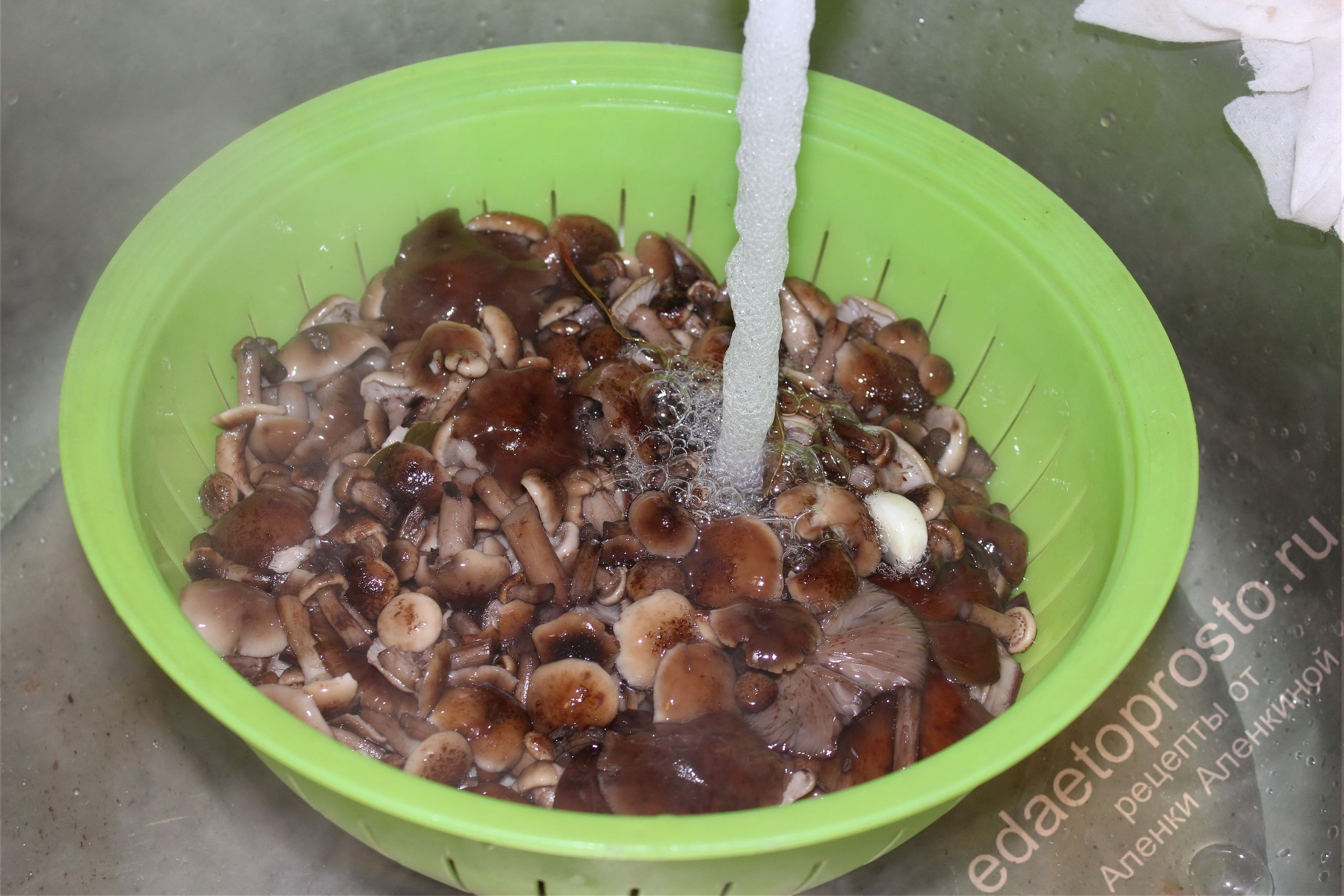 промывание вареных грибов фото