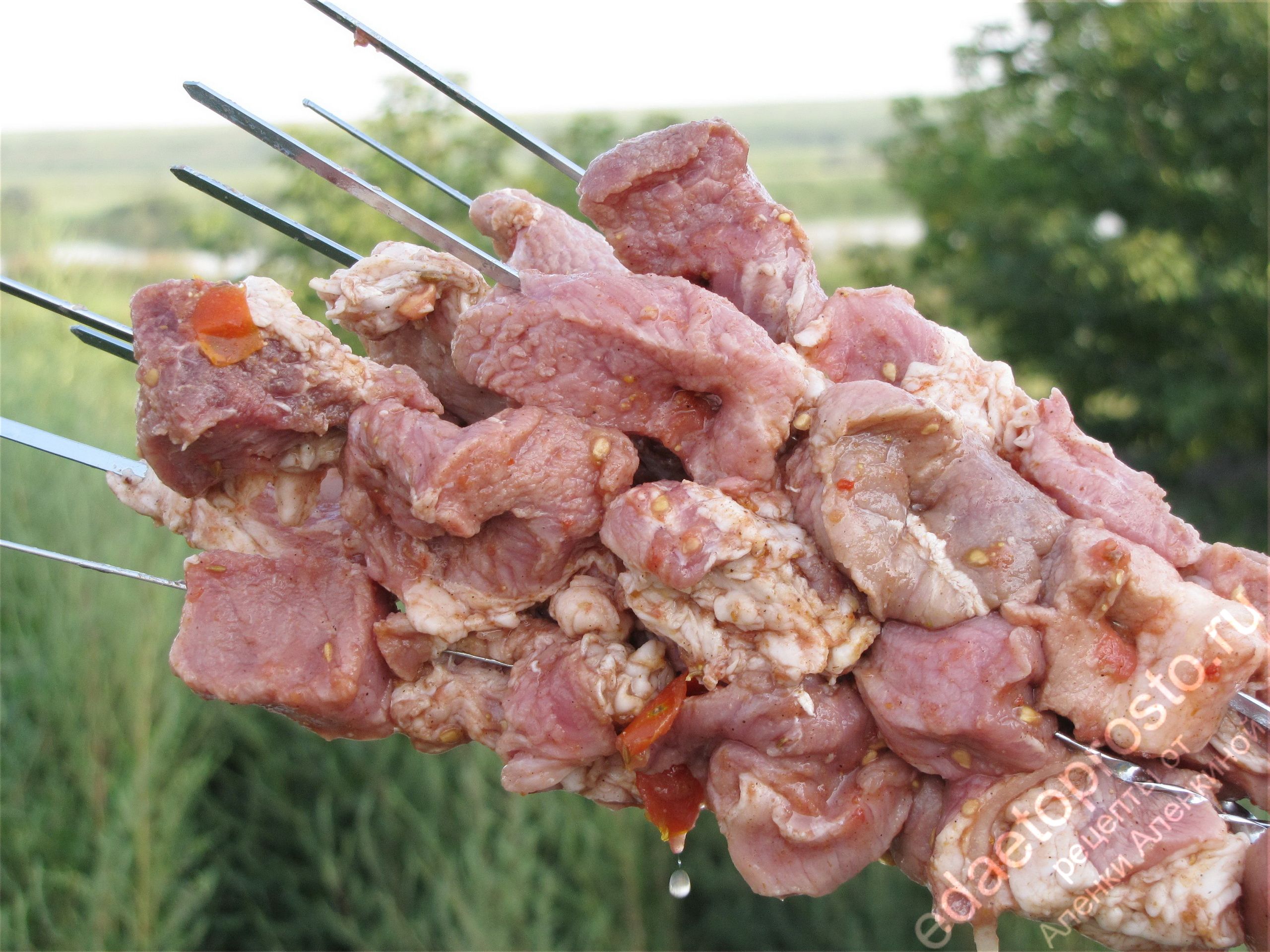 фото мяса на шампурах, фото шашлыков 3