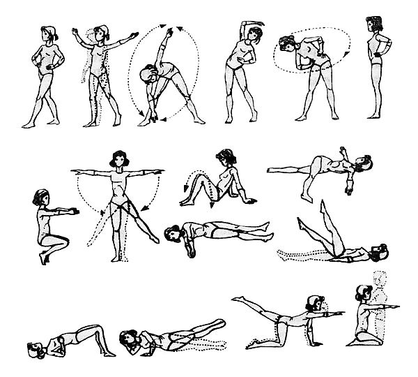 рисунок комплекса гимнастических упражнений для похудения