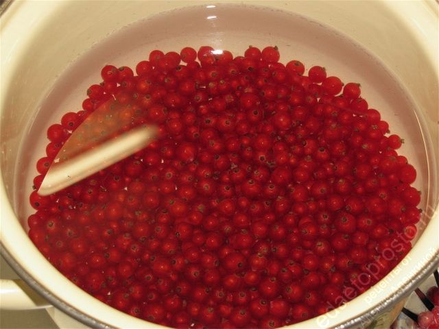 Тщательно промыть плоды красной смородины