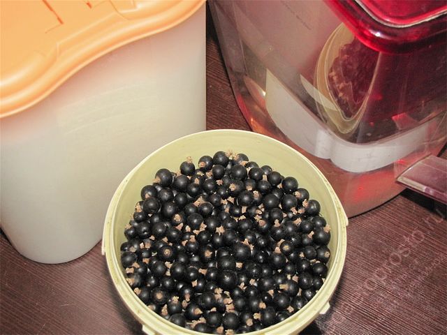 фото ингредиентов для заготовки компота из черной смородины на зиму