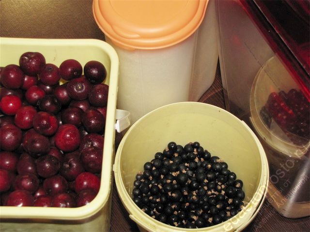 фото ингредиентов для заготовки компота из вишни и черной смородины на зиму