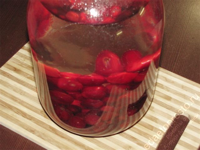 Залить банку с плодами вишни кипятком, фото приготовления компота