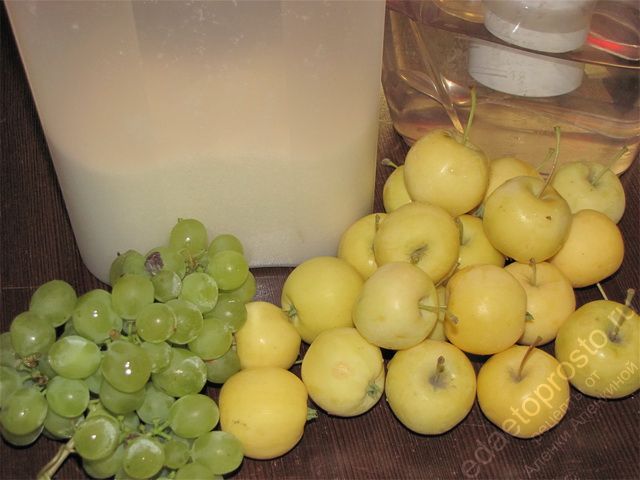 фото ингредиентов для компота из яблок и винограда на зиму