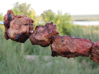 фото вкусного шашлыка из свинины с помидорами на шампуре на фоне природы