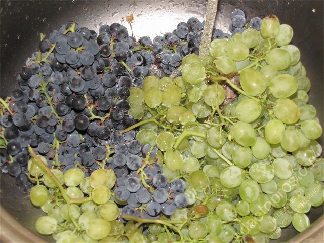Промыть виноград под проточной водой