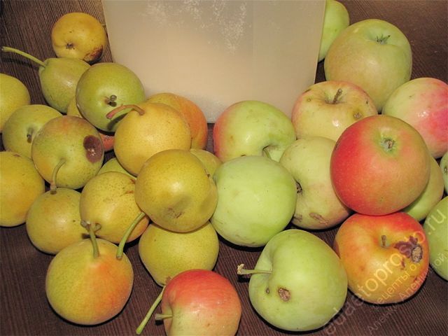 фото ингредиентов для приготовления сока яблочно-грушевого на зиму