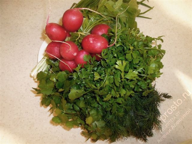 фото ингредиентов для окрошки на кефире: редис, укроп, петрушка и зелень