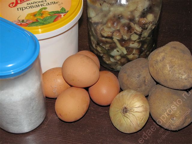 фото исходных продуктов для салата с солеными грибами