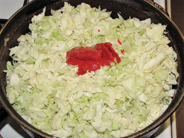 Выложить в сковороду измельченную капусту, томатную пасту и по вкусу специи