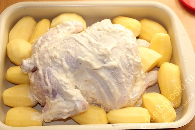 Очищенным картофелем обложить курицу по краям формы для запекания