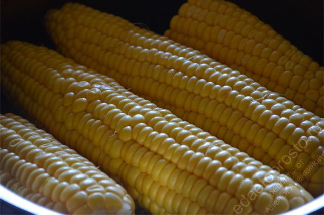 Сложить початки в широкую посуду и налить воды, пошаговое фото вареной кукурузы