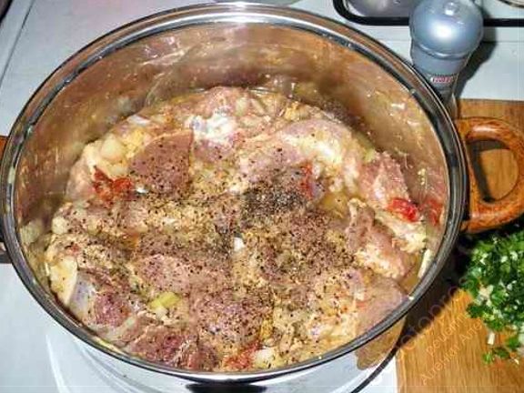 фото маринующегося мяса для шашлыков на мангале